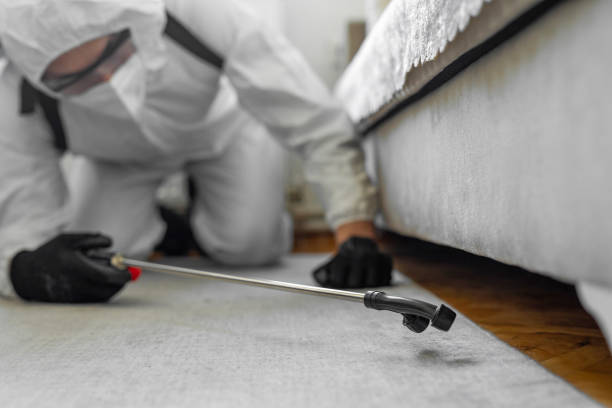 Professional Bed Bug Control technician working in Byron, GA