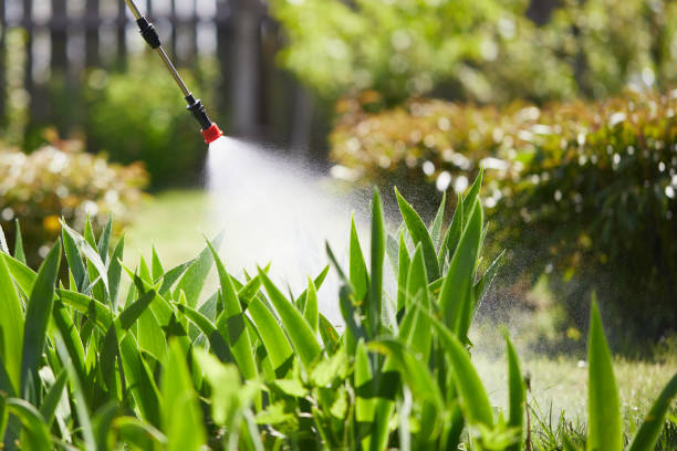 24/7 Emergency Bed Bug Control experts in Byron, GA