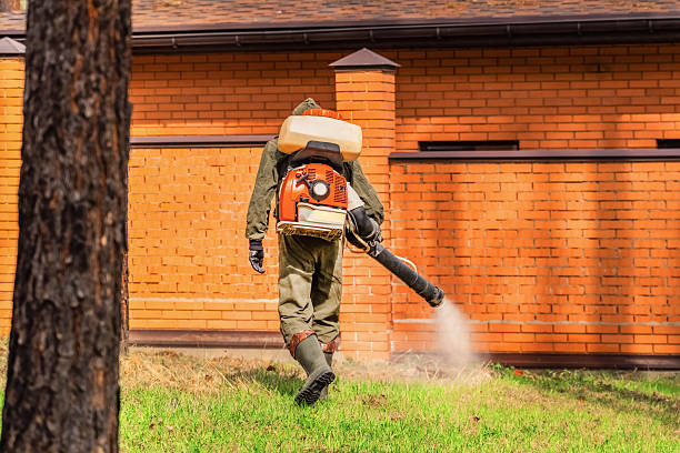 Trusted Mosquito Control service in Byron, GA - Nex Pest Control